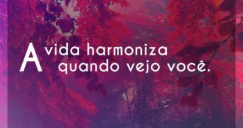 A vida harmoniza quando vejo você… Armandinho A vida harmoniza quando vejo você - Armandinho