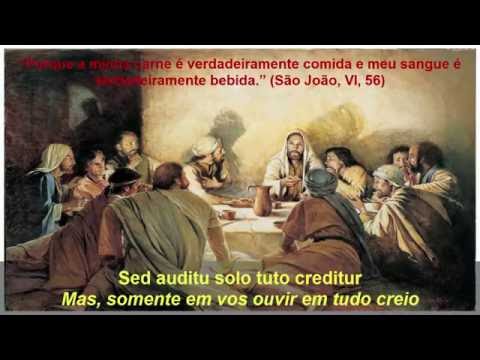 Adoro Te Devote (latim) letras - baixar - vídeo Católicas