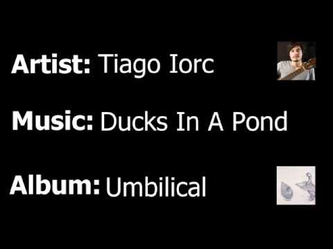 Ducks In a Pond com letras - baixar - vídeo